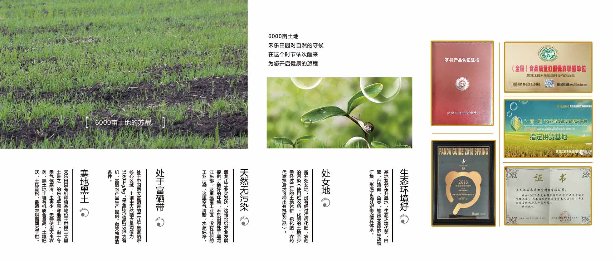 公司簡(jiǎn)介